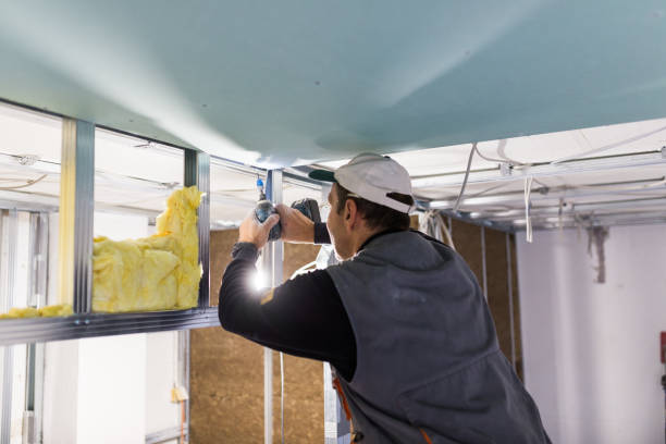 Best Commercial Insulation in Wyong, MI